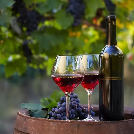 #074 Casa Dos Arcos By Holidays Διαμέρισμα Αλμπουφέιρα