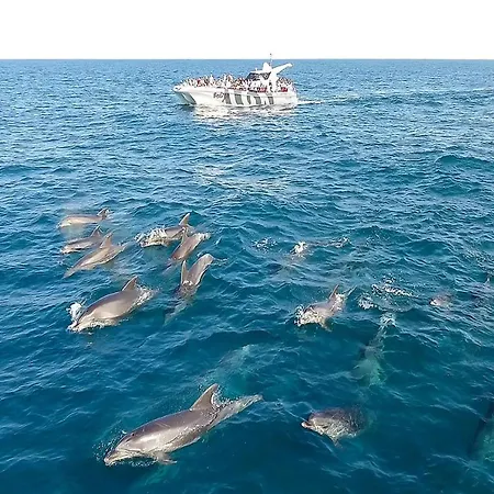 #074 Casa Dos Arcos By Holidays * アルブフェイラ