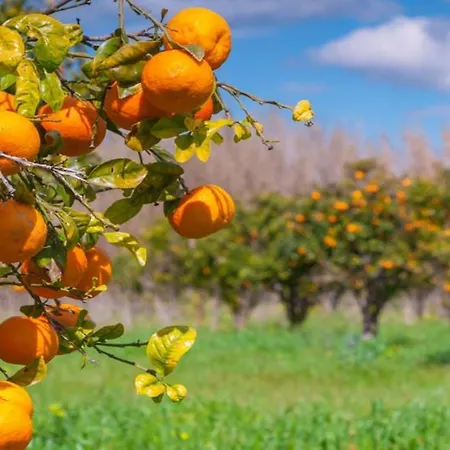 #074 Casa Dos Arcos By Holidays *